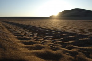DSC06130 